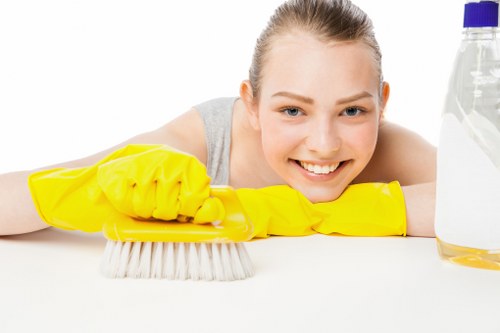 Final review stage for a carpet cleaning complaint