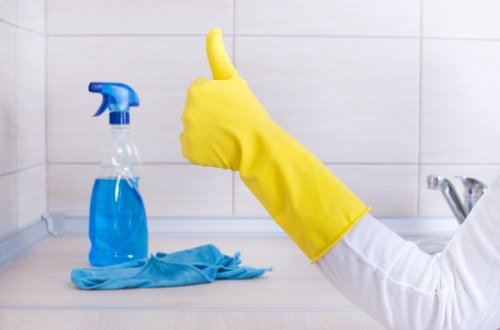 Professional pet stain odour removal in Tolworth for carpets